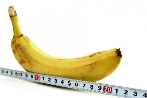 penis size on a banana example