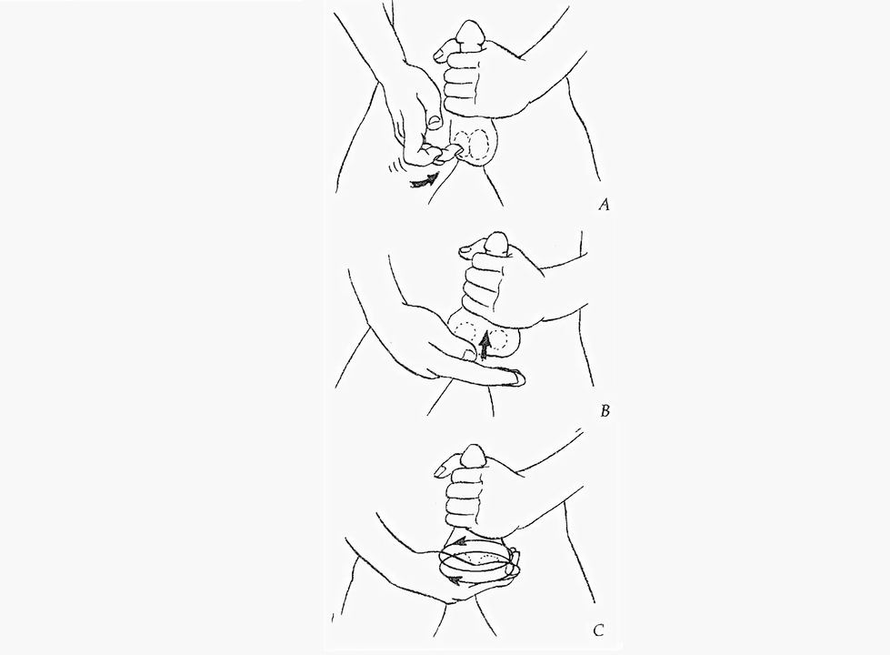 penis enlargement sequence
