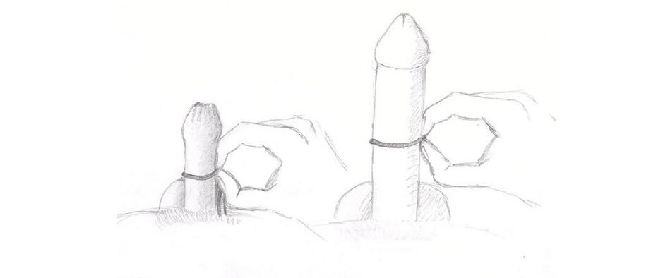 penis thickness measurement